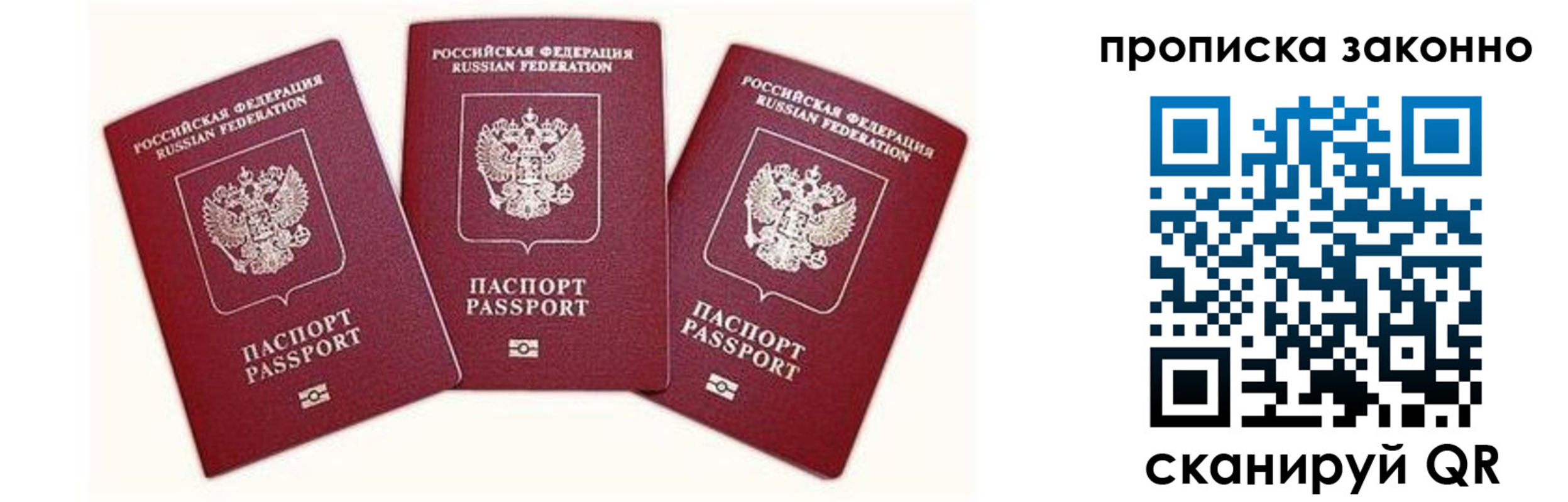 прописка законно в Болотном